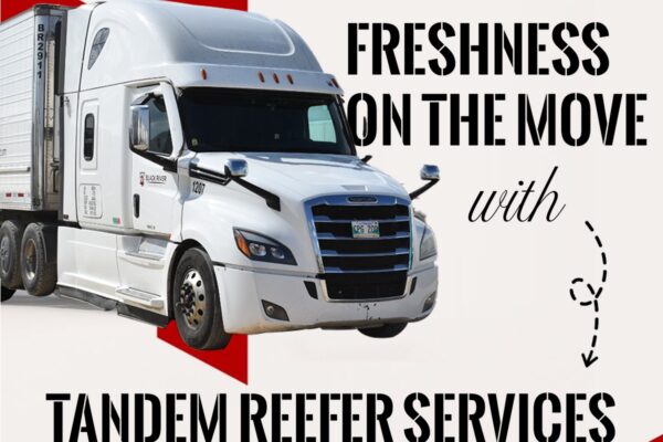 Tandem Reefer servicres